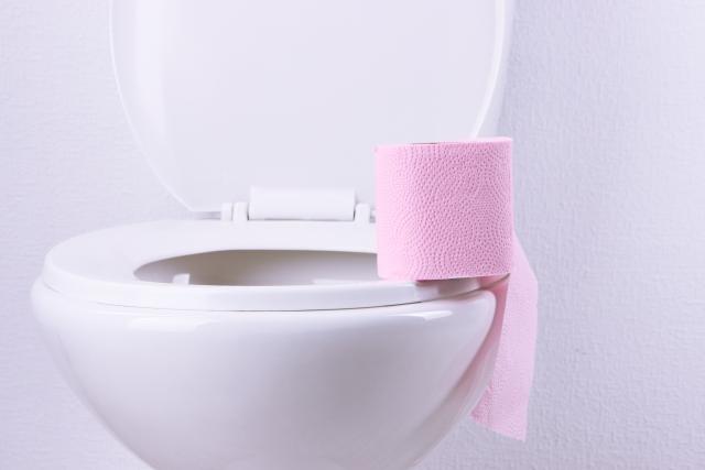 Zašto WC šolju nikada ne treba oblagati toalet-papirom